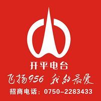 开平广播电台飞扬956 LOGO