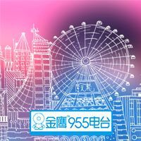 湖南金鹰电台955 LOGO
