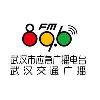 武汉交通广播 LOGO