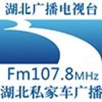 湖北交通广播 LOGO