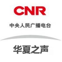 大湾区之声 LOGO