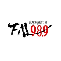 衡阳综合广播 LOGO