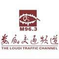 娄底交通广播 LOGO