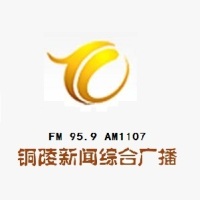 铜陵新闻综合广播 LOGO
