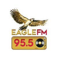 DWDM Eagle FM 95.5 LOGO DWDM Eagle FM 95.5 LOGO