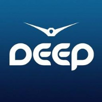 Рекорд Deep LOGO