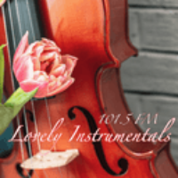 Lovely Instrumentals 101.5 FM LOGO