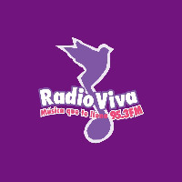 Radio Viva 95.3 FM LOGO