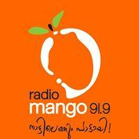Radio Mango 91.9 FM LOGO