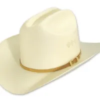 Classic Country 1630 LOGO