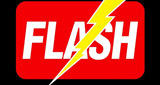 Flash LOGO
