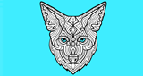 Coyote New Country 103.3 HD2 LOGO