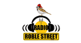 Radio Roble Street LOGO