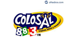 colosal LOGO