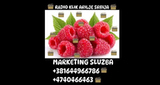 Radio Klik LOGO