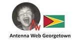 Antenna Web Georgetown LOGO