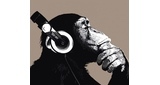 Rádio Macacos LOGO