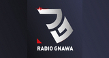 Radio Gnawa LOGO