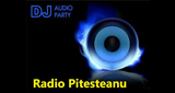 Radio Pitesteanu LOGO