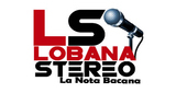 Lobana Stereo LOGO