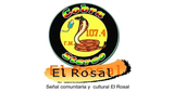 Cobra Stereo LOGO