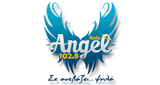 Radio Angel 102.8 LOGO