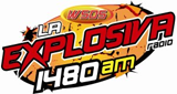WSDS LOGO
