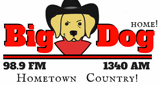 Big Dog 98.9/1340 LOGO