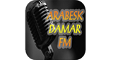 Arabesk Damar Fm LOGO