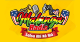 Malanga Radio LOGO