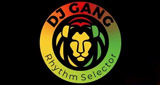 Yard Vybz Reggae Radio 506 LOGO