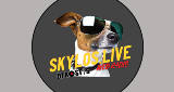 Skylos live radio LOGO