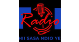 Top Radio LOGO