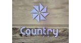 Country 101 LOGO