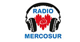 Radio Mercosur LOGO