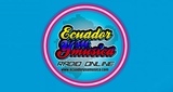 Radio online Ecuador y su música LOGO