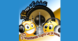 Stereo Colohete LOGO