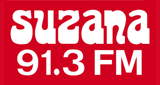 Suzana 91.3 FM LOGO