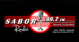 Sabor 99.7 Fm LOGO