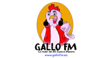 Gallo FM LOGO