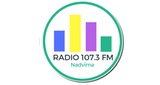 Радіо Надвірна 107.3 Fm LOGO
