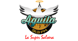 Aguila 91.3 Fm LOGO