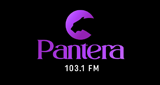 Pantera Fm LOGO