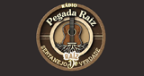 Rádio Pegada Raiz LOGO