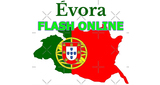 Evora Flash Online LOGO
