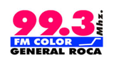 FM Color 99.3 LOGO