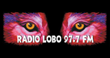 97.7 Radio Lobo LOGO
