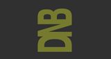 DNB Station LOGO