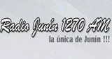 Radio Junin LOGO