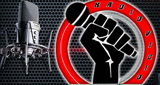 Radio Vicio del Ecuador LOGO